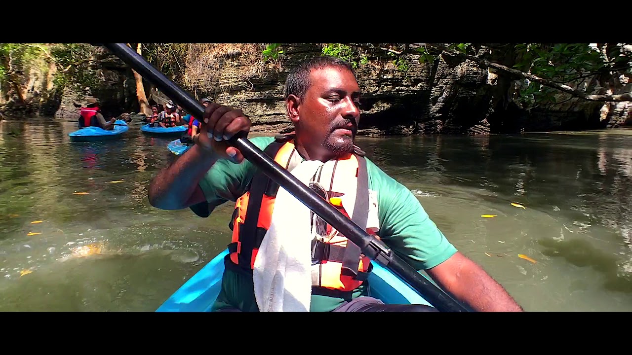 Good Morning Nature Kayaking